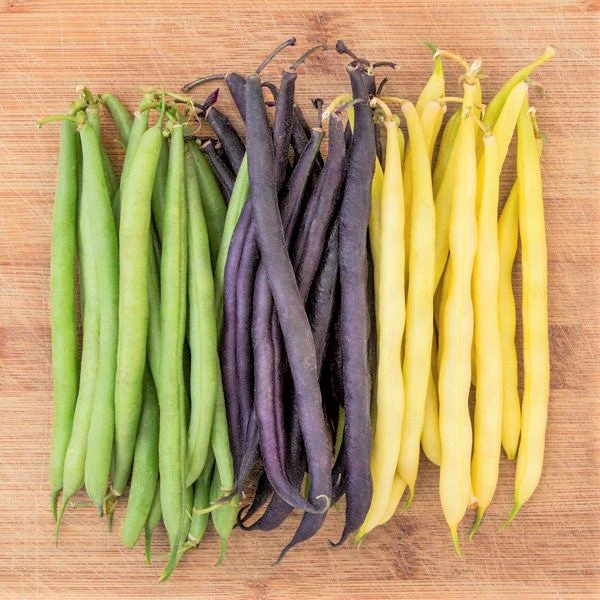 3 Colors Mix Green Beans (Mardi Gras Blend) - Image 7