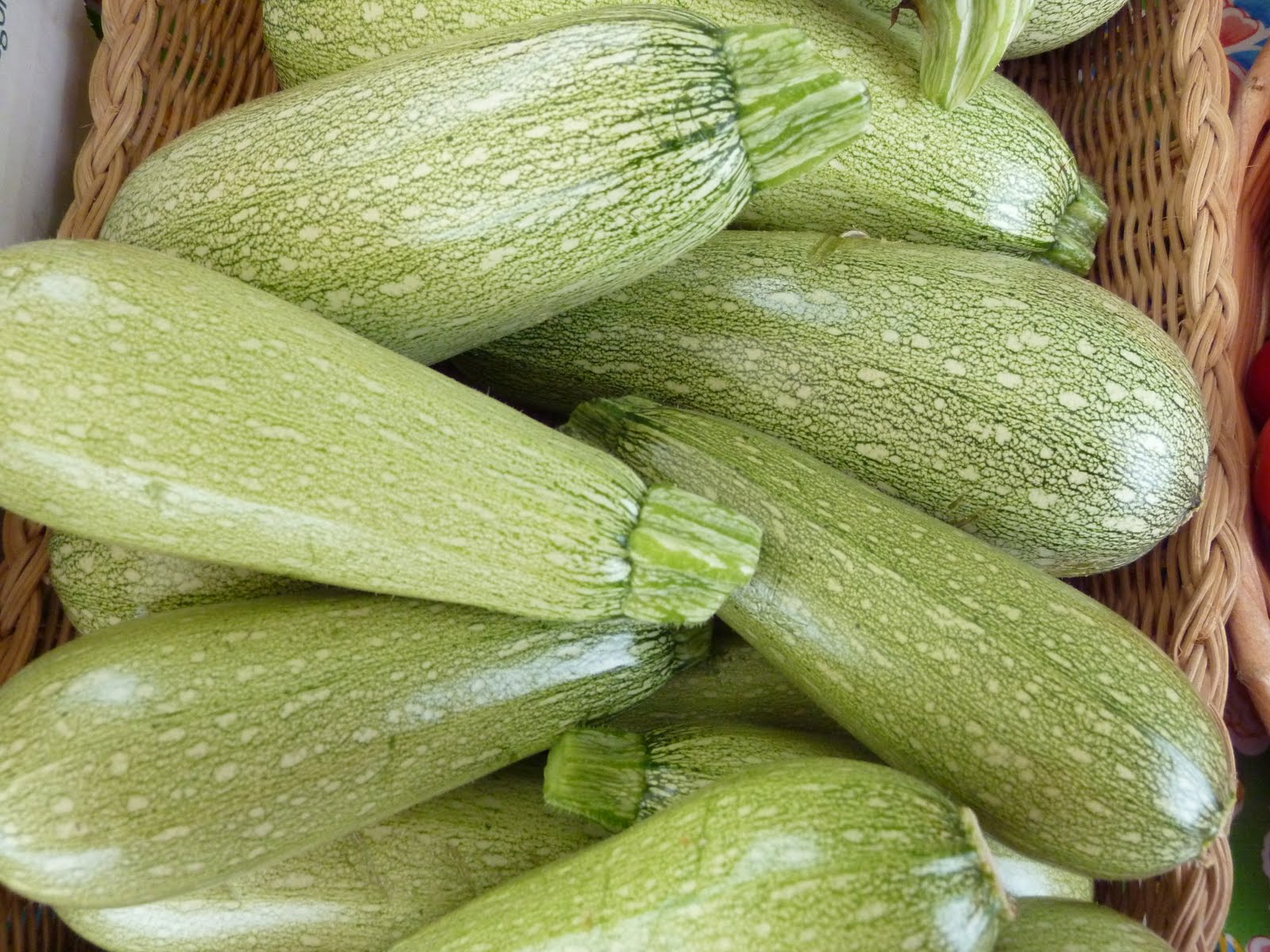 5 Species Summer Squash Mix - Image 4