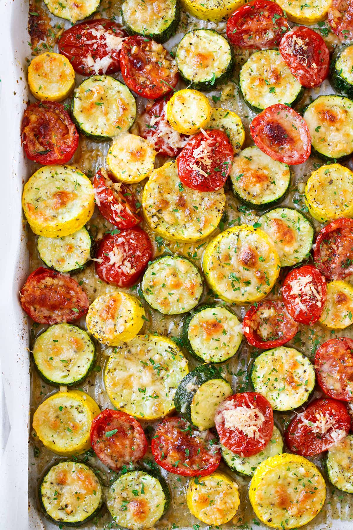 5 Species Summer Squash Mix - Image 9
