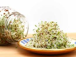 True Alfalfa - Image 2