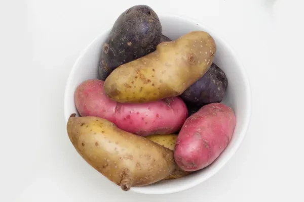 PRE-ORDER NOW! SHIPS APRIL 2026 - American Flag Mix Seed Potatoes - Image 2