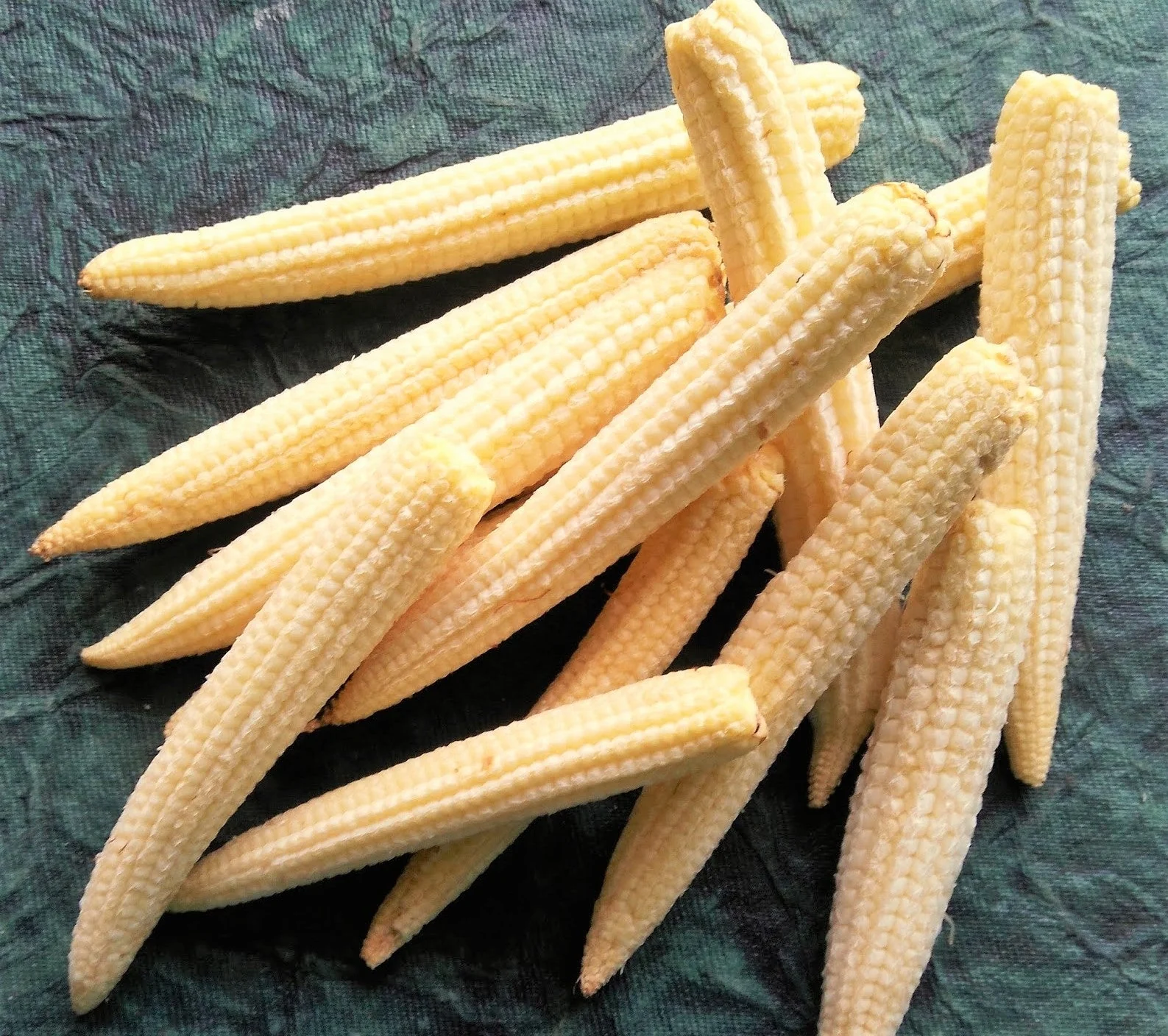 Baby Corn - Image 9