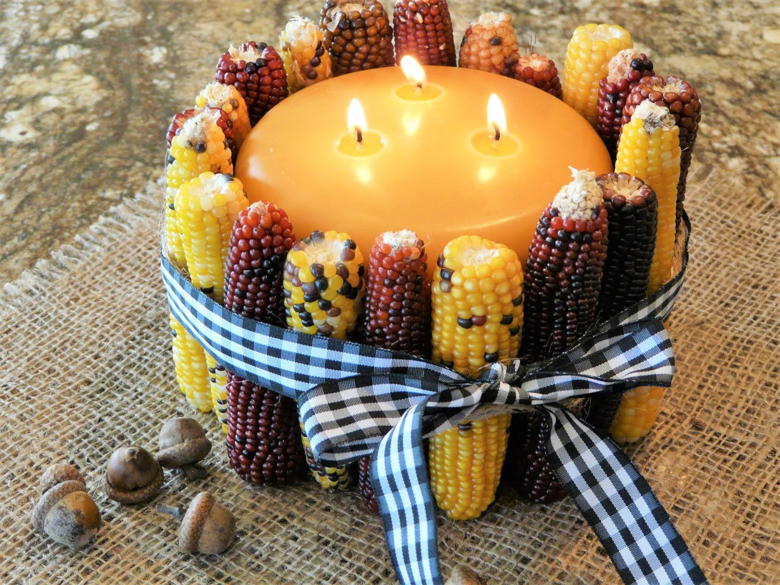 Blender Mini Ornamental Corn - Image 6