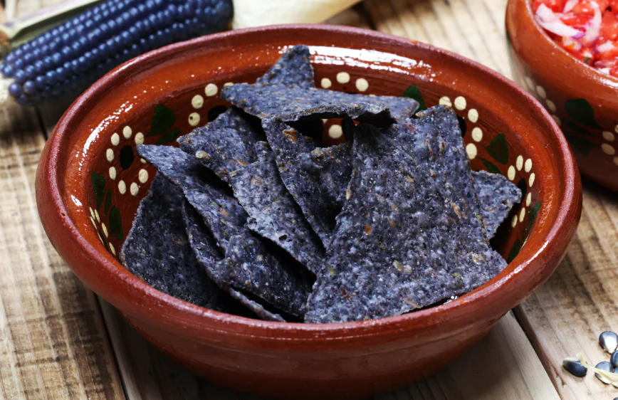 Blue Hopi Flint Corn Ornamental - Image 9
