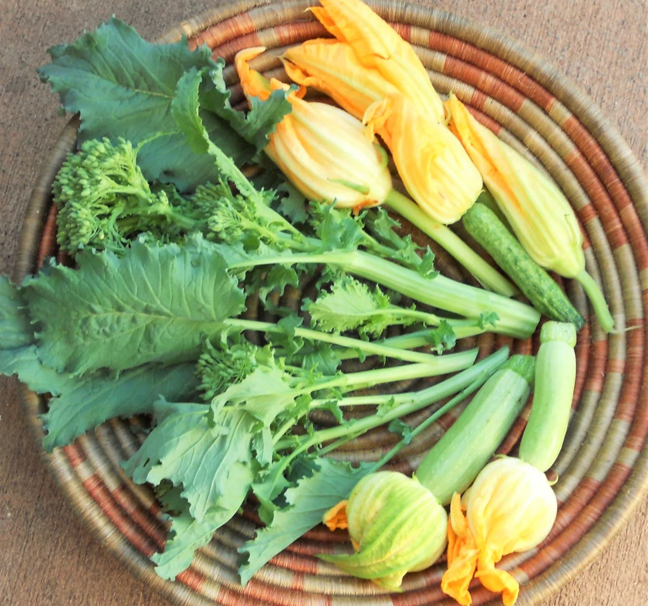 Broccoli Rabe (Rapini) - Image 6