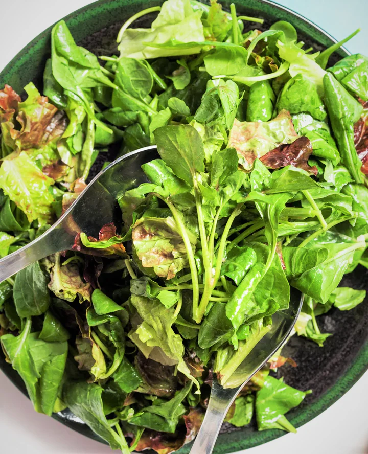 Bronze Mignonette Butterhead Lettuce - Image 8
