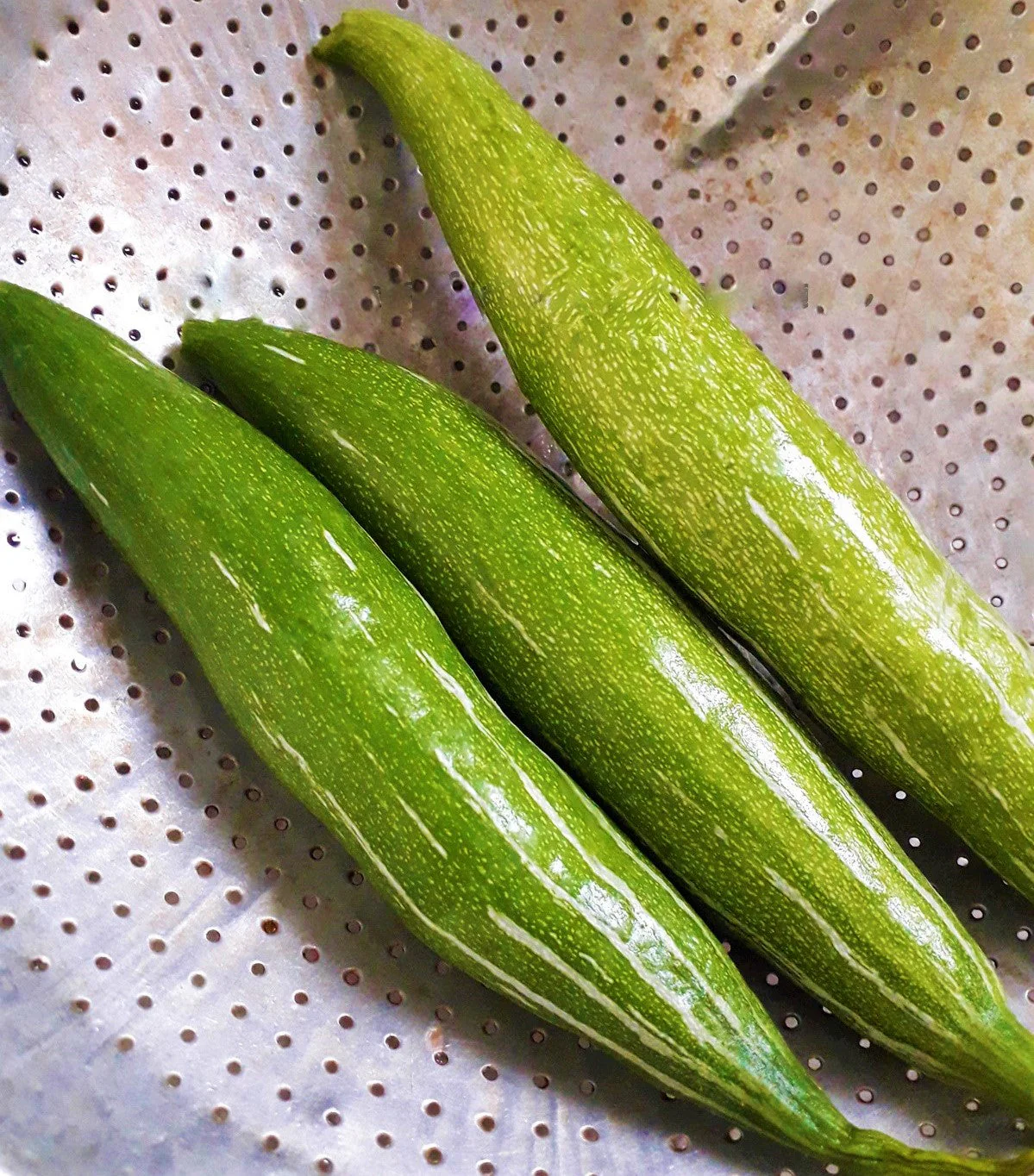 Buag Ngu Snake Gourd - Image 4