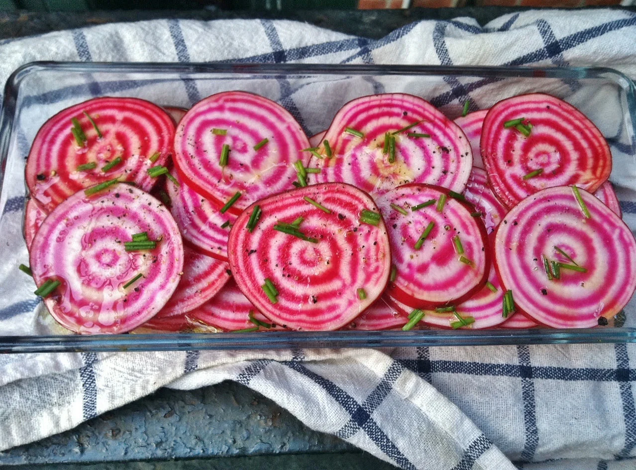 Chioggia Beet (Candy Cane Striped) - Image 5