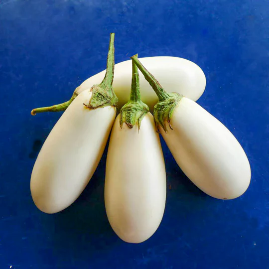 Casper White Eggplant - Image 7