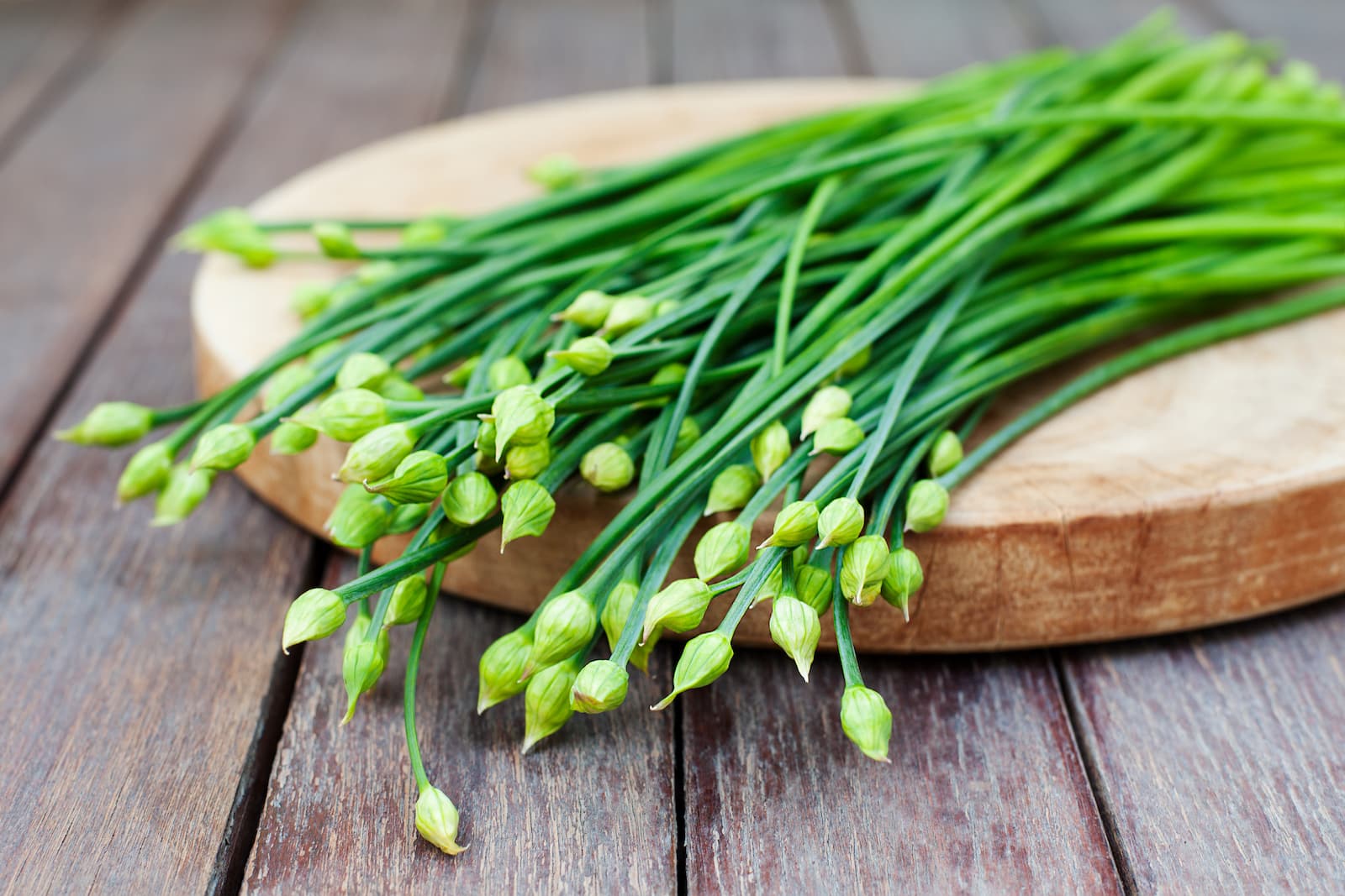Chinese Garlic Chives - Image 3