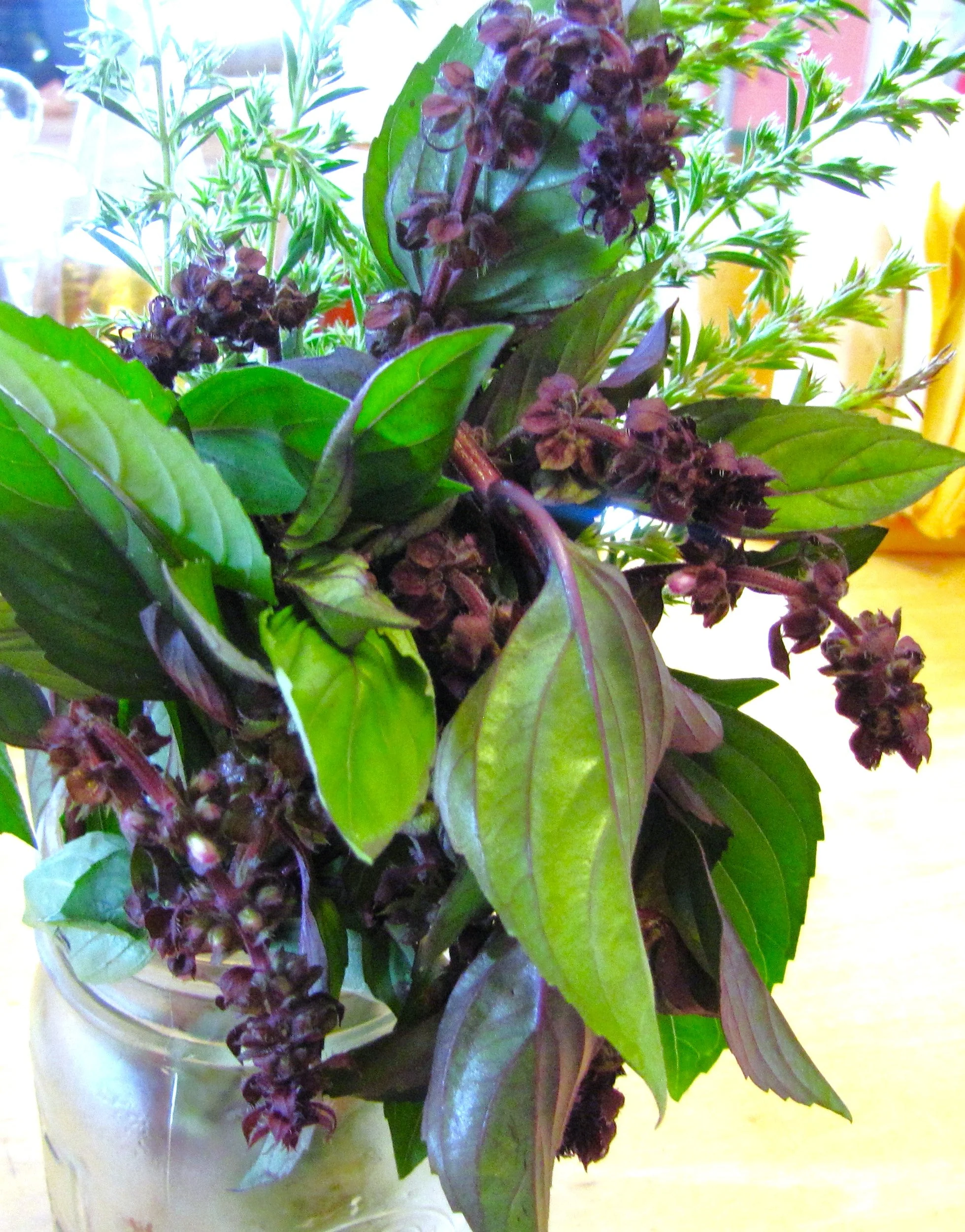 Cinnamon Basil - Image 6