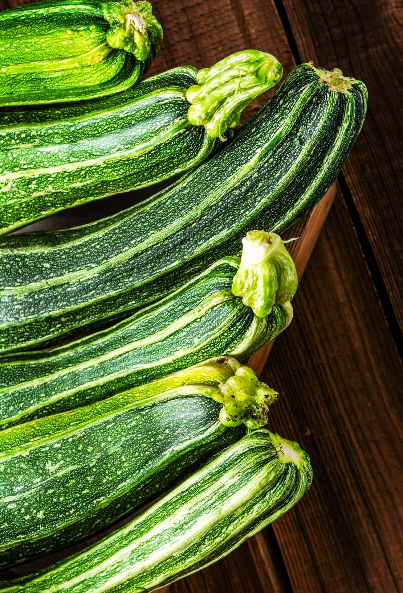 Cocozelle Zucchini - Image 3