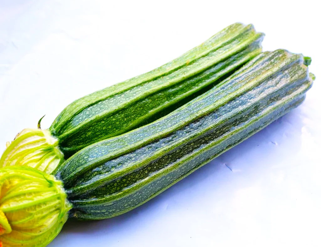 Costata Romanesco Zucchini - Image 7