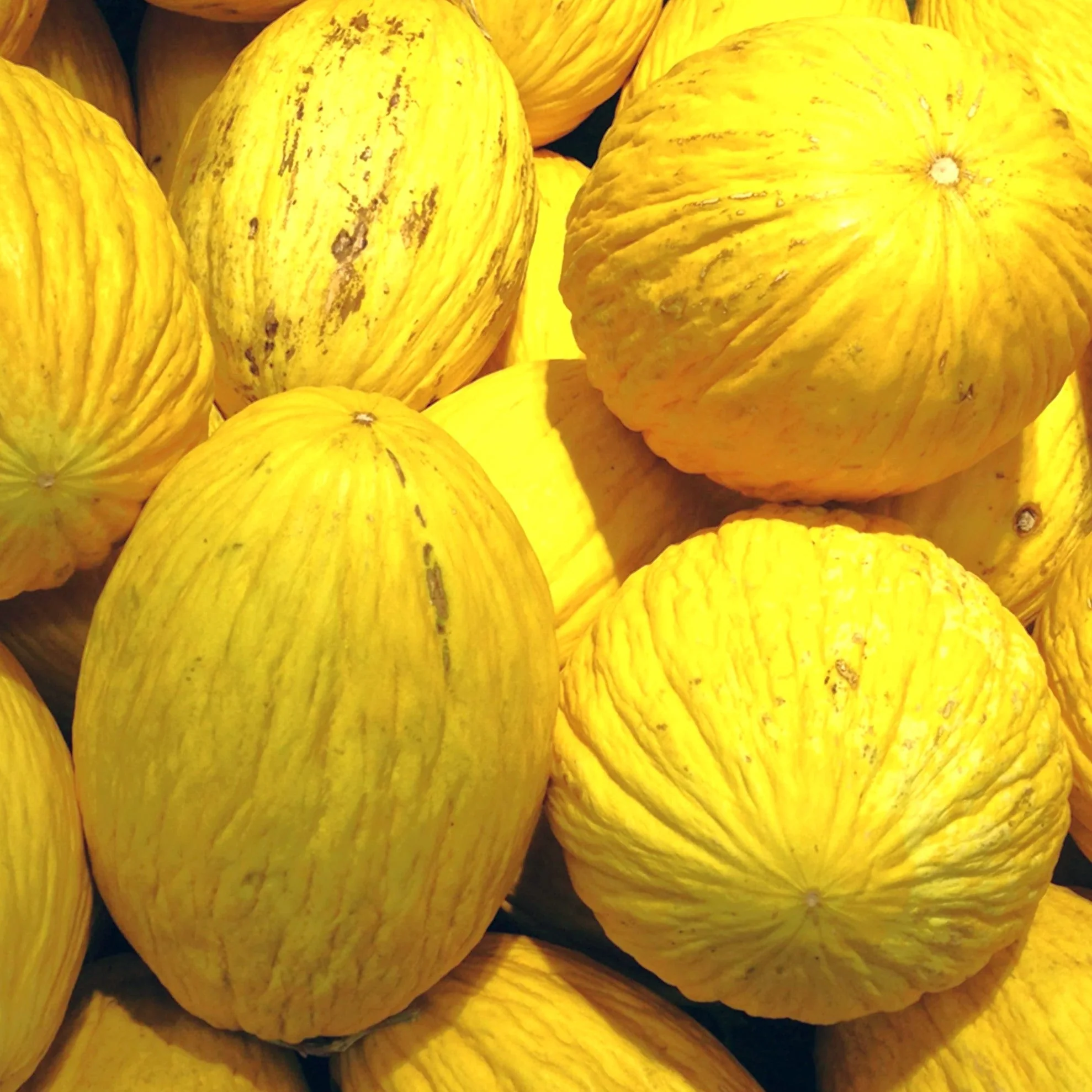 Crenshaw Melon - Image 6