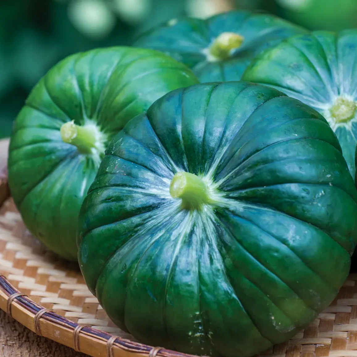 Cupcake Squash