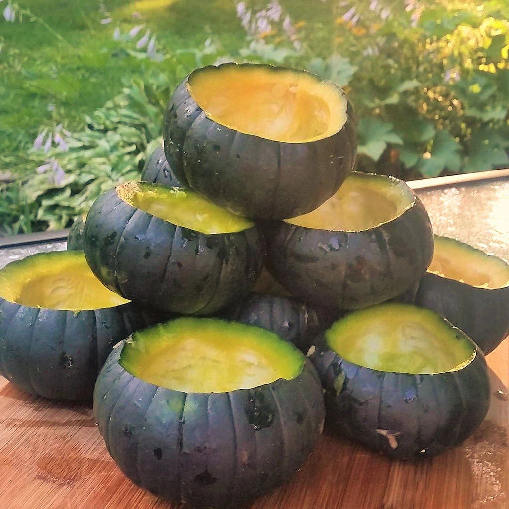 Cupcake Squash - Image 8