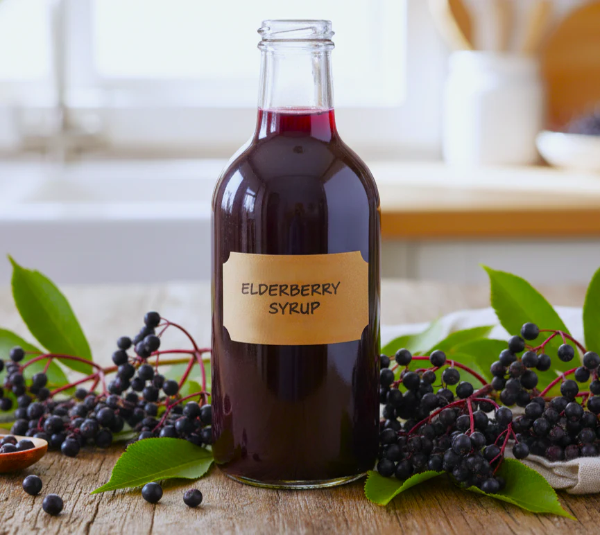 Elderberry Tree - Image 7