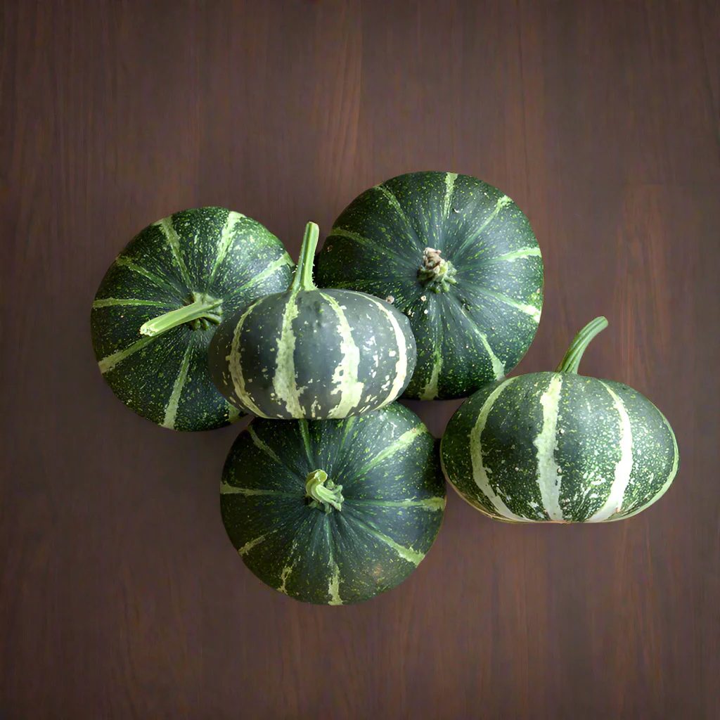 Flat Striped Ornamental Gourd - Image 4