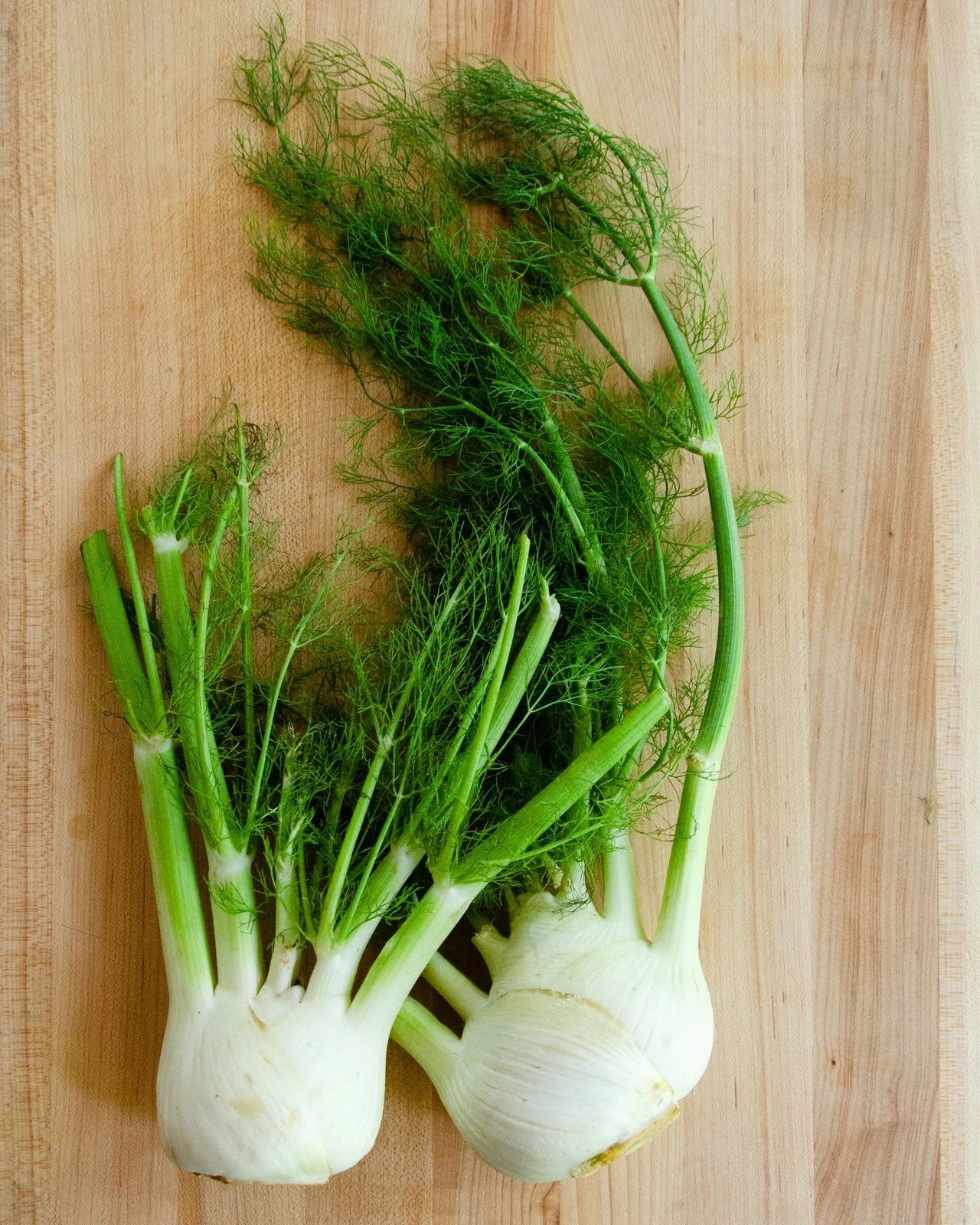 Florence Fennel - Image 2