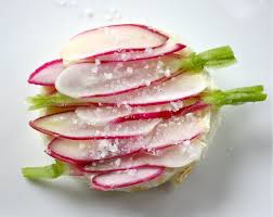 French Breakfast Radish - Image 4