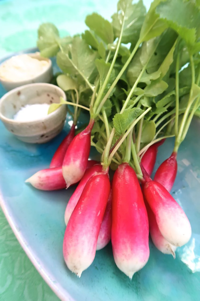 French Breakfast Radish - Image 8