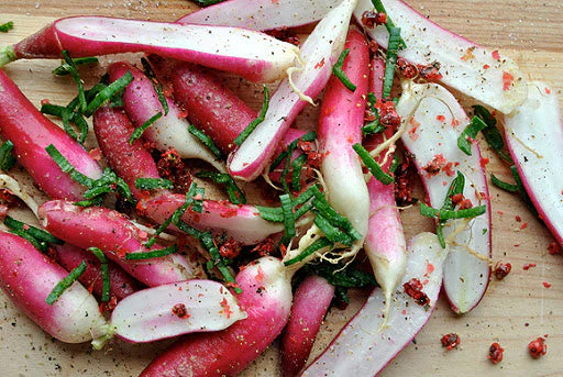 French Breakfast Radish - Image 9