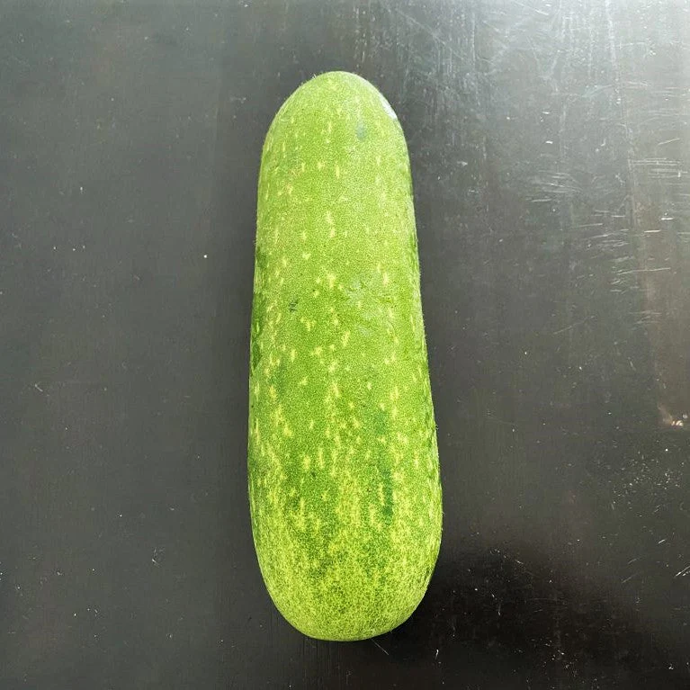 Fuzzy Hair Melon - Image 6