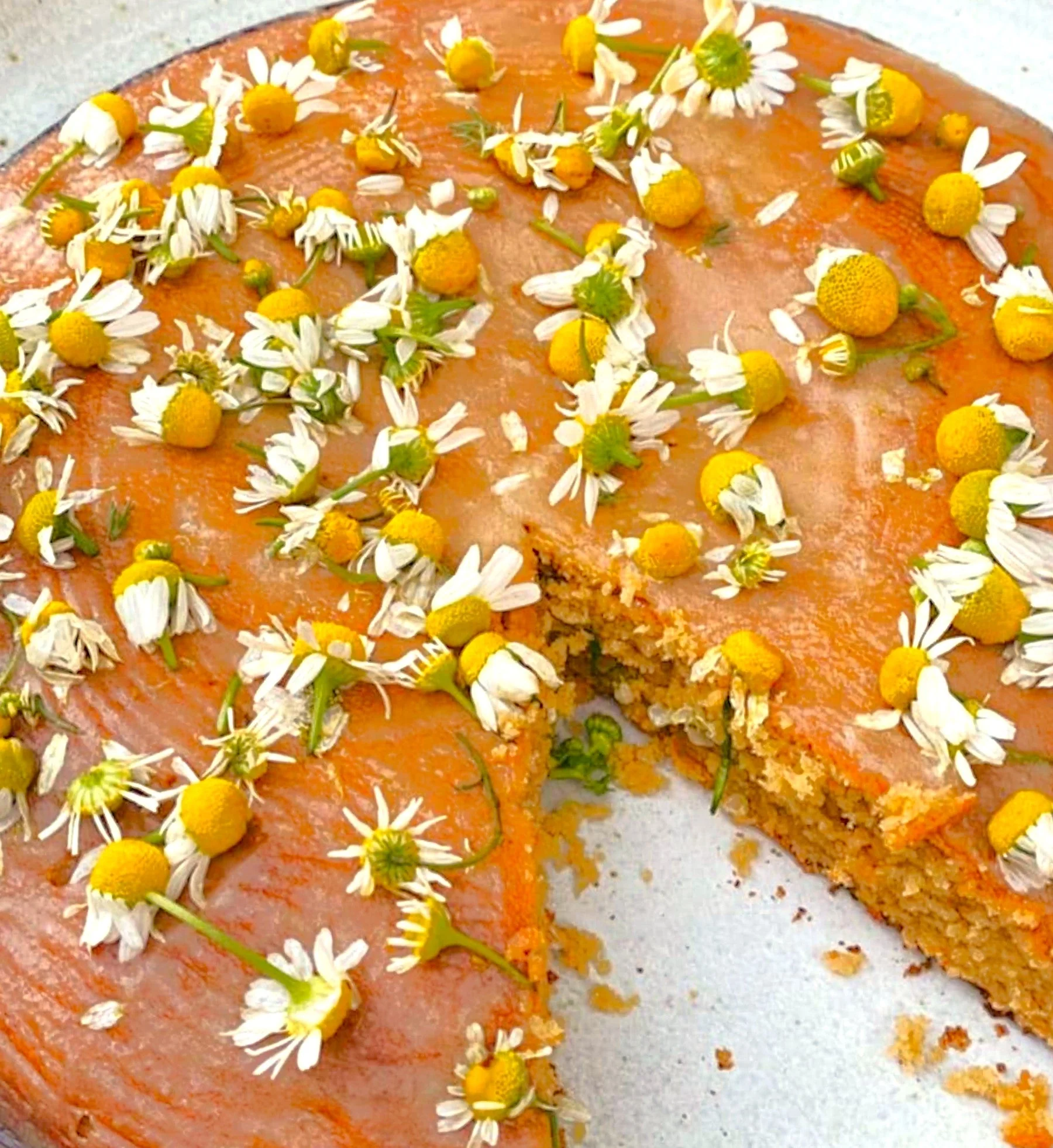 German Chamomile - Image 8