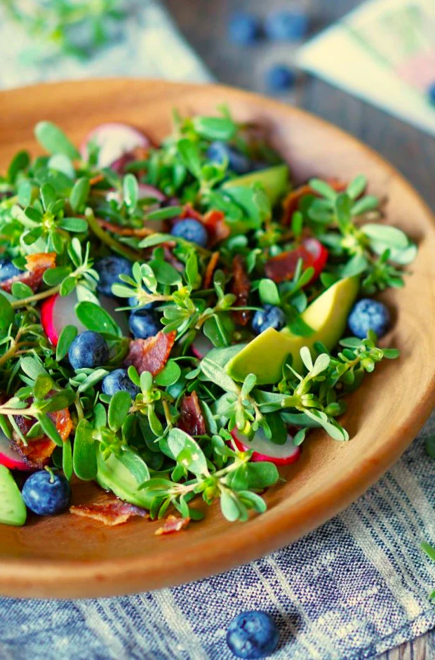 Green Purslane - Image 7