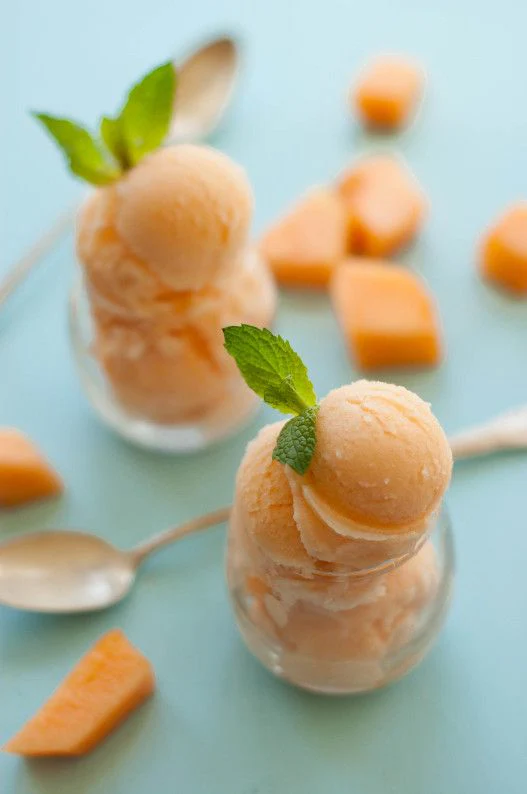 Hale's Best Jumbo Cantaloupe - Image 8
