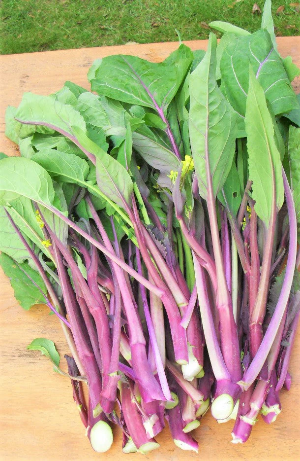 Hon Tsai Tai Purple Yu Choy Sum - Image 4