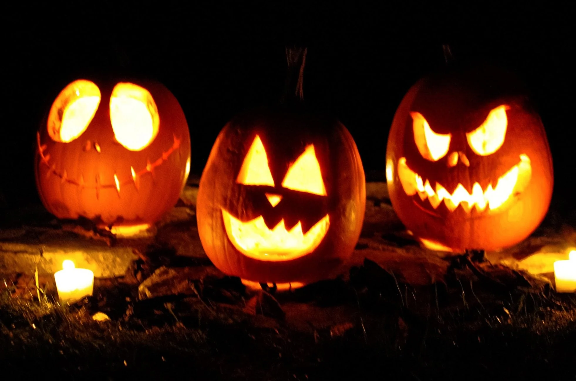 Jack O' Lantern Pumpkin - Image 5