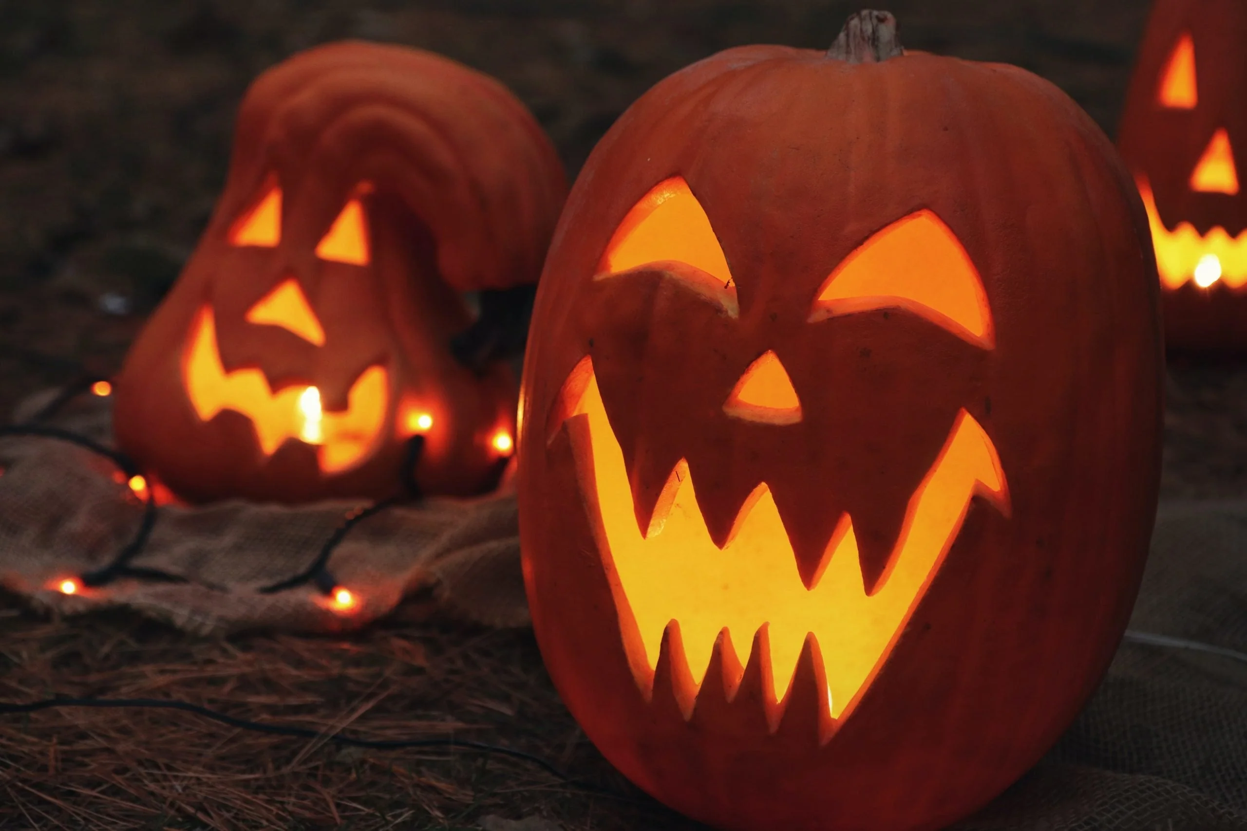 Jack O' Lantern Pumpkin - Image 6