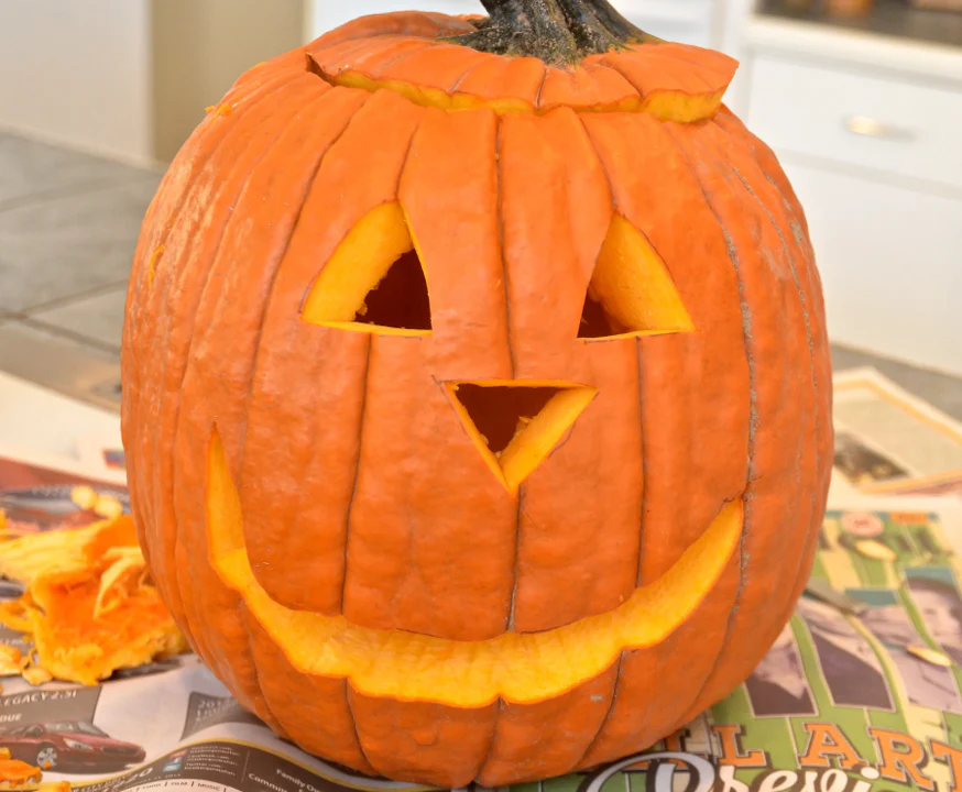 Jack O' Lantern Pumpkin - Image 7