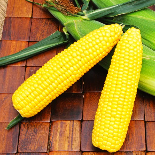 Jubilee Sweet Corn - Image 3