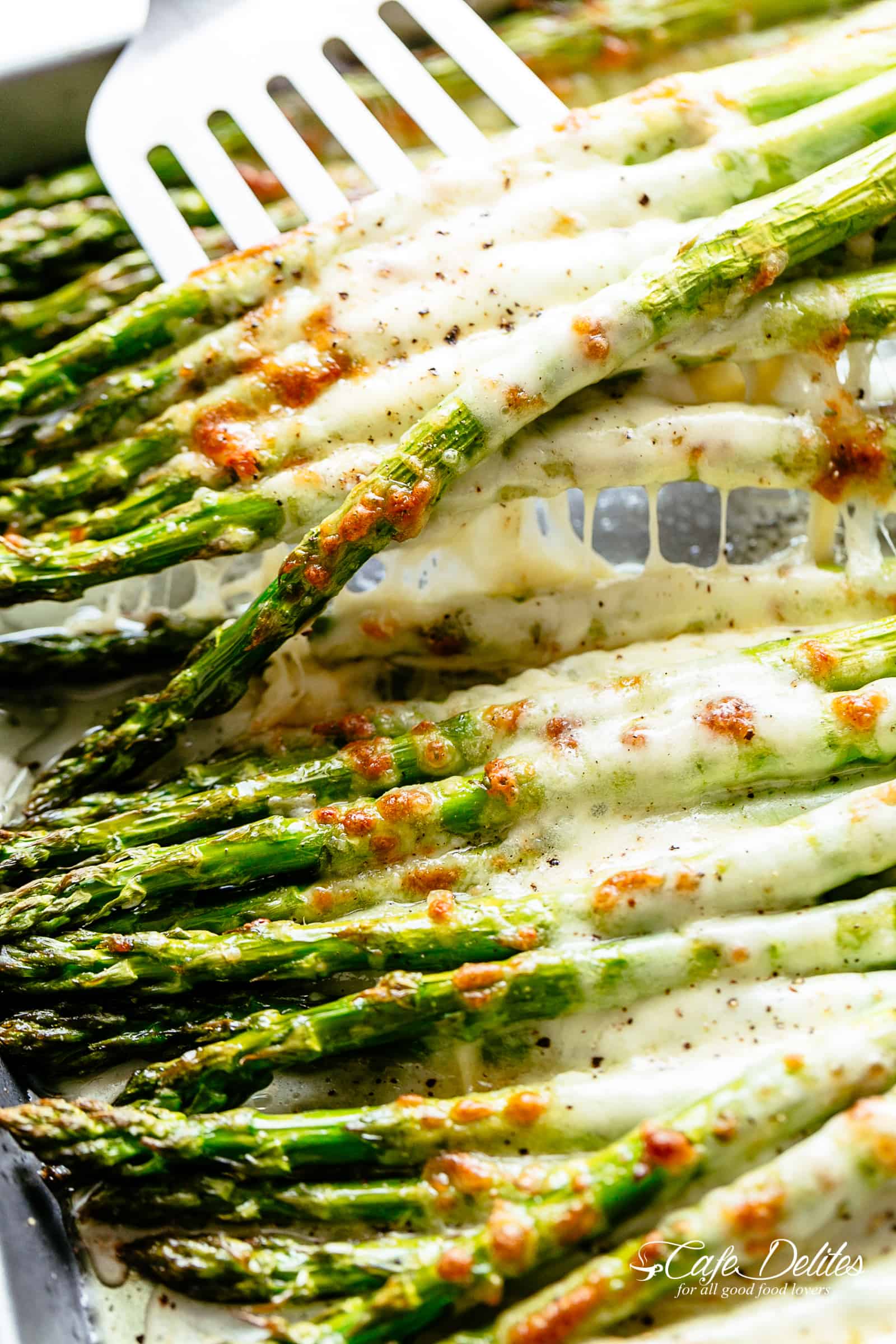 Mary Washington Asparagus - Image 4
