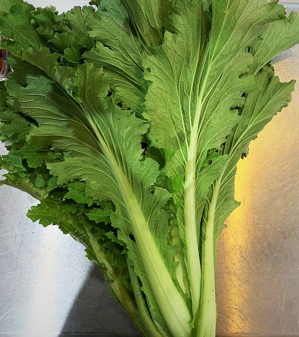 Michihili Chinese Cabbage - Image 2