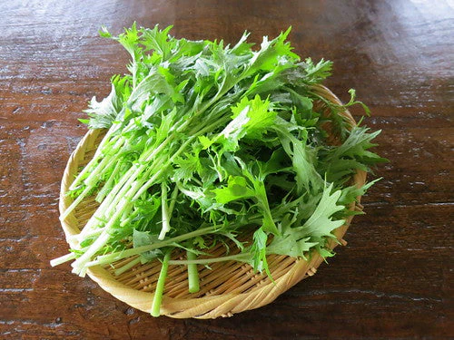 Mizuna Mustard Green - Image 4
