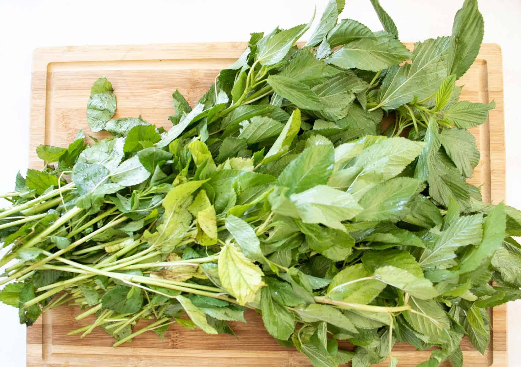 Molokhia (Egyptian Spinach) - Image 3