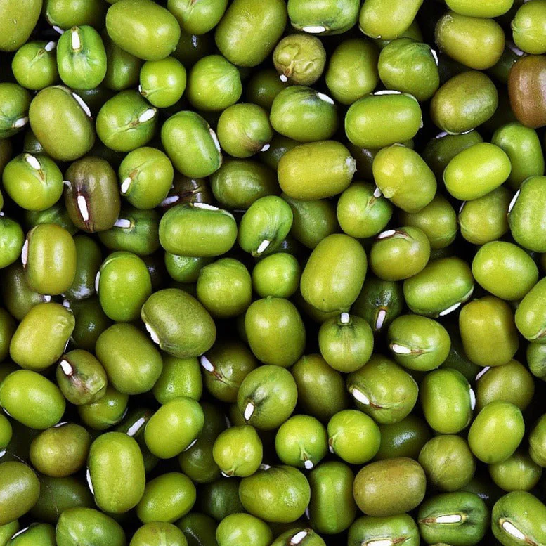 Mung Bean