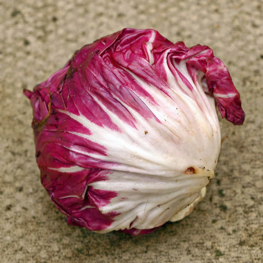 Palla Rosa Radicchio - Image 2