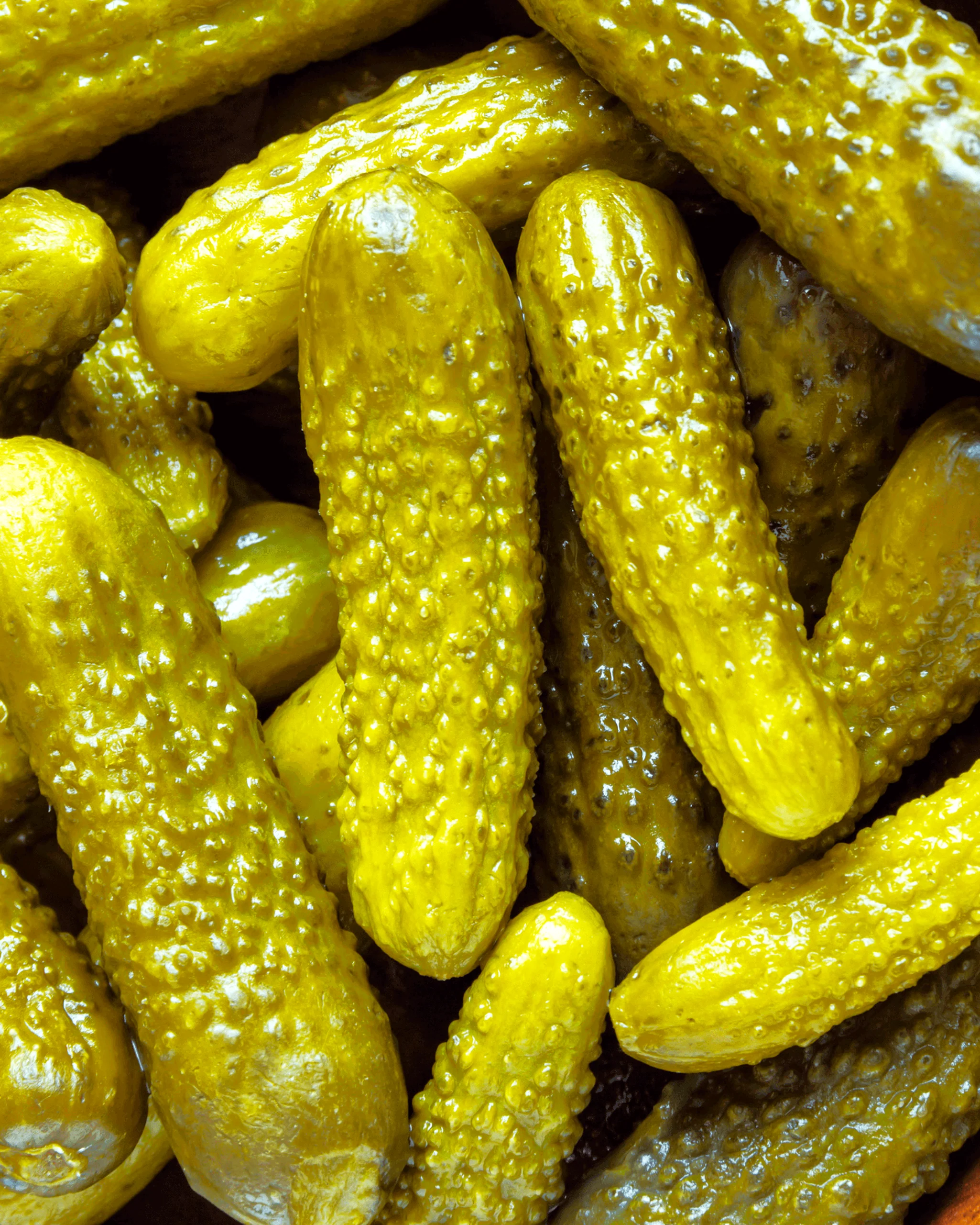 Parisian Gherkin Cucumber - Image 7