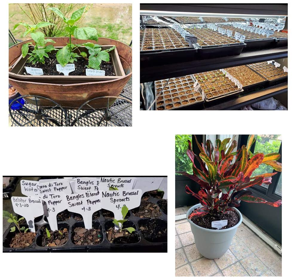 Pink T-Shaped Plant Labels - Image 6