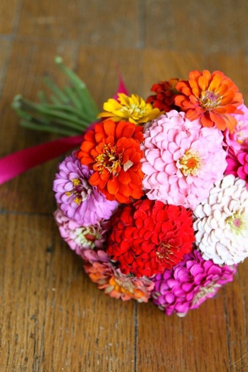 Pumila Mix "Pom Pom" Zinnia - Image 5