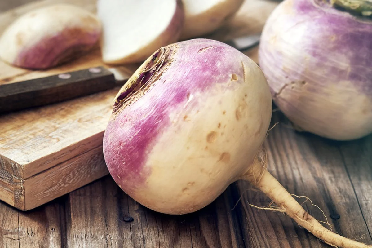 Purple Top Turnip - Image 4