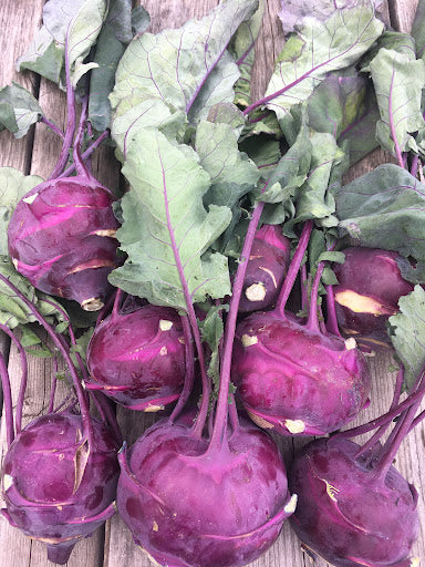 Purple Vienna Kohlrabi - Image 3
