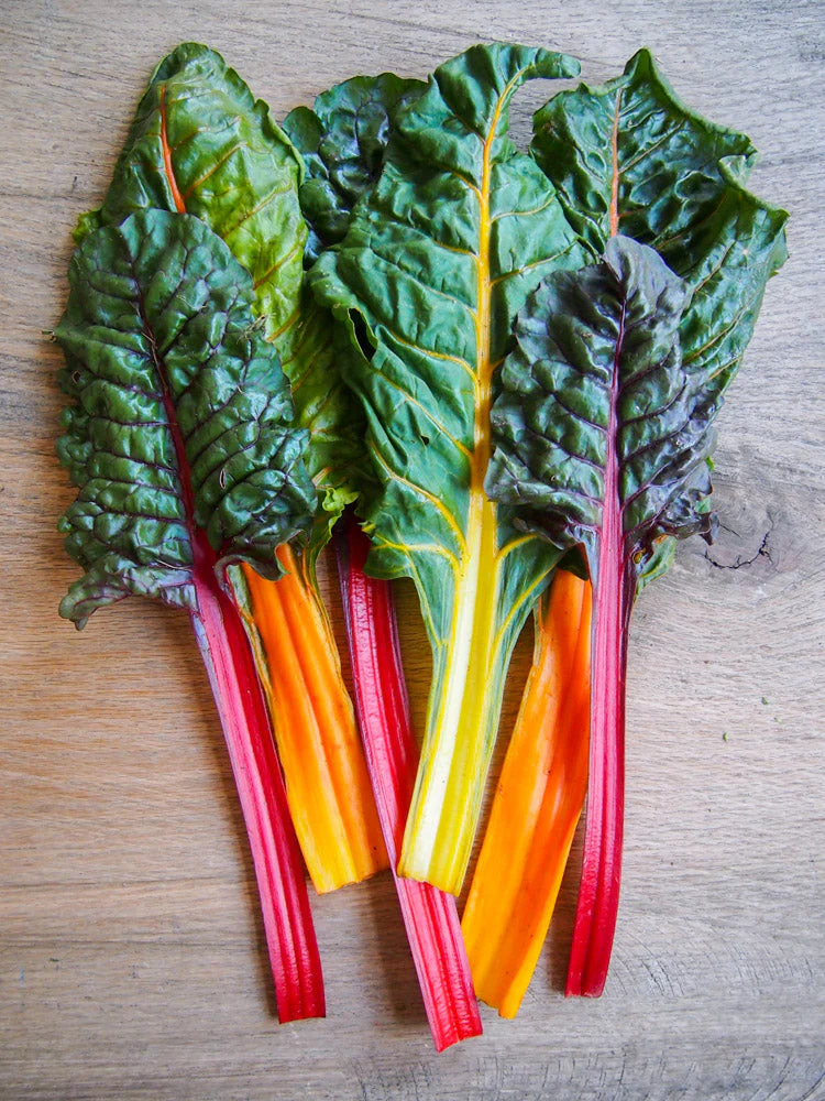 Rainbow Swiss Chard - Image 4