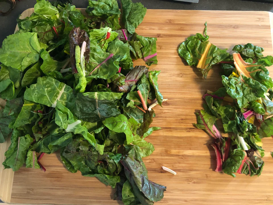 Rainbow Swiss Chard - Image 6