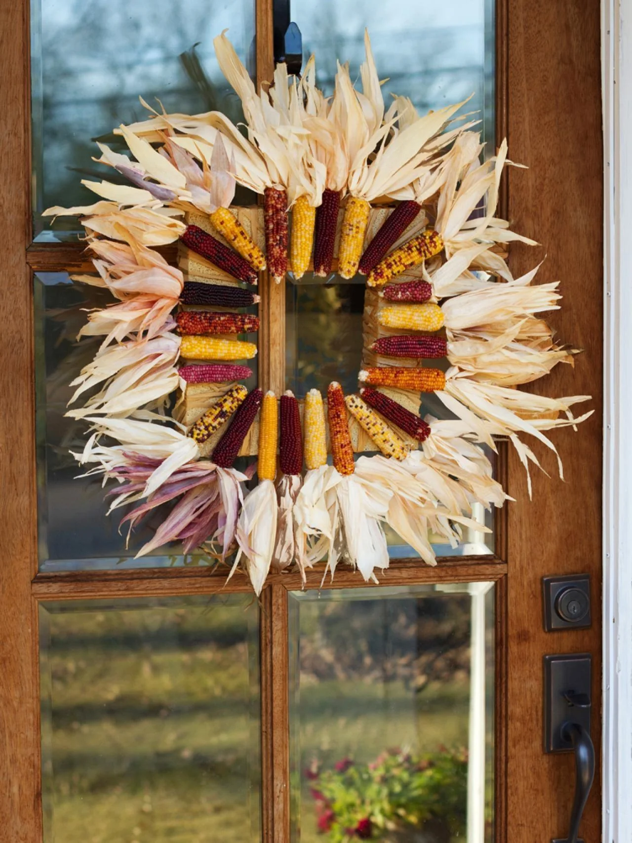 Red Husk Rainbow Ornamental Corn - Image 9