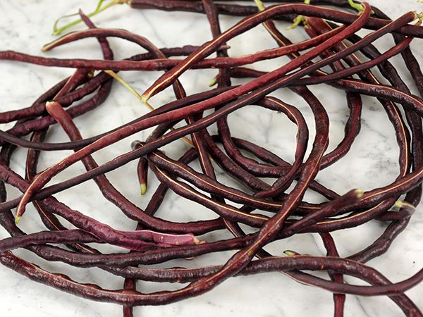 Red Noodle Yard Long Bean - Image 7